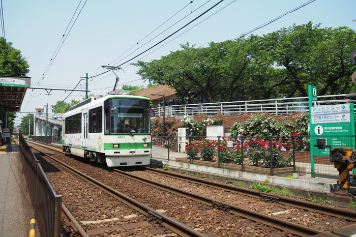 都電荒川線は、東京都内北部の未だ開発が行われていない地域を走る路線。沿線には懐かしい町並みや寺社、自然たっぷりの公園が残っていて、1日かけてのんびり散策したいエリアです。