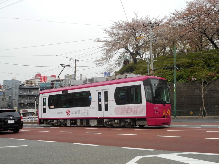 荒川線の車両は1両編成、現在は5種類のデザインが運行しています。運転手さん1人のワンマン運転の上、ほとんどの停留場が無人で、乗り降りの管理は運転手さんが行います。
路面電車ですが専用の軌道があり、車道を走る区間は飛鳥山～王子駅前だけです。愛称の「チンチン電車」は、ドアが閉まる際に自動で2回鳴るベルの音から付けられました。