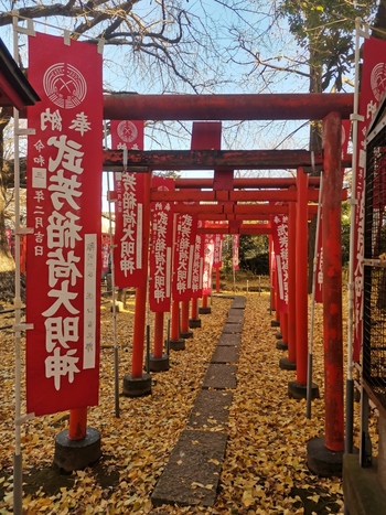 参道脇には、武芳稲荷神社の鳥居が連なります。どうして境内にお稲荷さんが祀られているのかというと、元々この土地の地主神が稲荷であり、お寺と神社が同じ敷地内に建立されるのは、江戸時代までは普通の事でした。

こちらのお稲荷さんは、出世にご利益があると言い伝えられ、鳥居が多いのも念願叶った人が奉納していったためです。江戸時代には、こういった鳥居奉納がとても流行ったそうですよ。