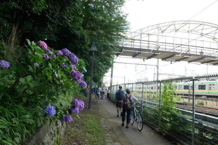 公園周辺には、散策にちょうど良い歩道が整備されて、気持ちの良い森林浴が楽しめます。王子駅前～上中里駅間は「飛鳥の小径」と呼ばれています。ノスタルジックな雰囲気がいい感じですね。