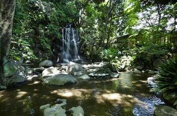 公園北側には、王子名主の滝公園があります。江戸時代の名主の屋敷跡で、人工的に造られた4つの滝をめぐる回遊式庭園は見事。元々個人の邸宅とは思えないほど広く、緑豊かな公園となっています。それにしても、王子駅前周辺は自然豊かなスポットが多いですね。