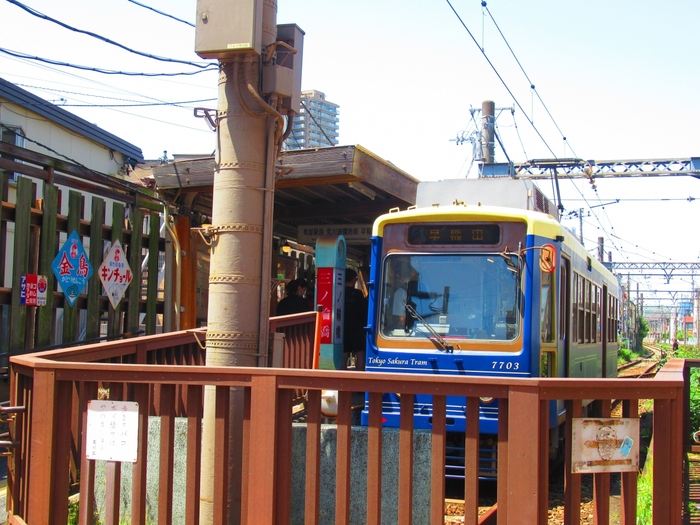荒川車庫前～終点の三ノ輪橋の沿線には、「荒川バラの会」をはじめとしたボランティアの方々の手によって、色とりどりのバラが植えられています。
バラは荒川線のシンボルとなっていて、区をあげて緑化に取り組んでいるとのこと。初夏にはバラに彩られた「都電バラ号」が運行されています。
