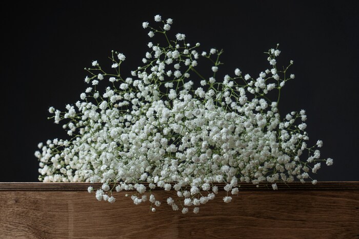英名で「baby’s breath（赤ちゃんの吐息）」と呼ばれるかすみ草。その花言葉は、「幸福」「親切」「感謝」「無邪気」「清らかな心」です。花束に入っていると、他の大きな花たちを引き立ててくれるかすみ草のイメージぴったりの花言葉ですね♪