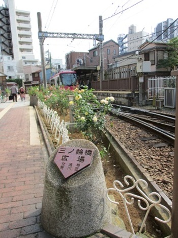 三ノ輪橋停留場にはひときわ広いバラ花壇があり、様々な品種を楽しむ事ができます。夏だけでなく、秋バラが植えられているのも嬉しいです。整備して下さっているボランティアの人々に感謝。