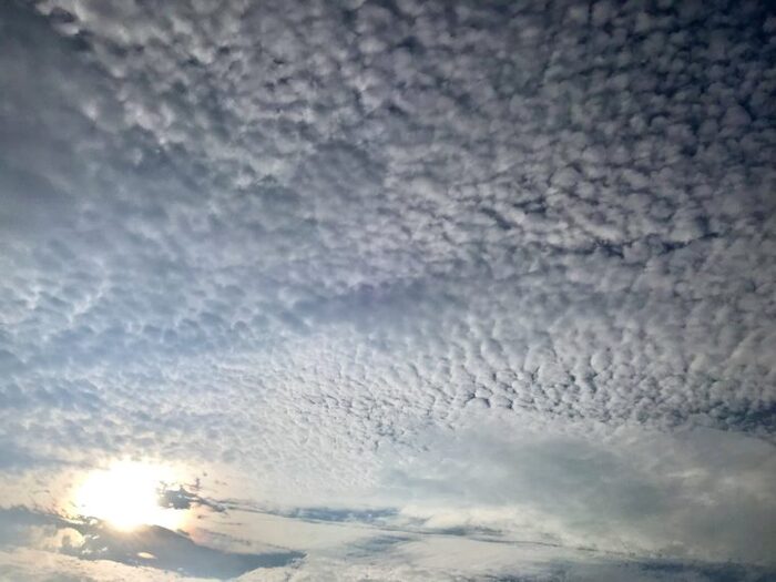 巻積雲(別名:いわし雲)・高積雲(別名:まだら雲)・風で千切られた積雲(別名:わた雲)などに見えることが多いので、たまに空を見上げて探してみましょう。
