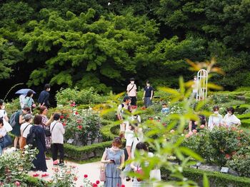 バラの季節は一年で最も見どころたっぷりのシーズン。都内はもちろん遠方からも多くの人が訪れます。
