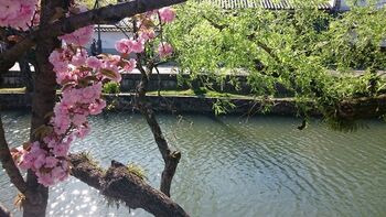 今記事では、岡山「倉敷美観地区」内のぜひ訪れて欲しい名所の他、倉敷の“素敵”な逸品が見つかるショップ、また岡山フルーツを味わえるカフェや商業施設、誰しもが喜ぶ定番の和菓子等などを盛り沢山に紹介します。記事を参考に、岡山を観光するのなら、倉敷美観地区+αでぜひ旅の計画を立ててみましょう。