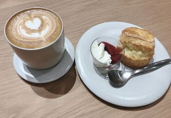 清澄白河おすすめスポット48選｜カフェ・美術館・観光も！