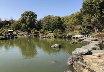 3つの中島を配置した池の周囲には、数寄屋造りの建物、磯渡りの飛び石、樹木が配され、池を中心に回遊すれば、都内の喧騒を忘れて、心地良い静かな一時を過ごせます。庭園内に配された無数の石は、岩崎家が全国の石の産地から収集した名石です。木々と水、名石の織り成す景色を楽しみましょう。