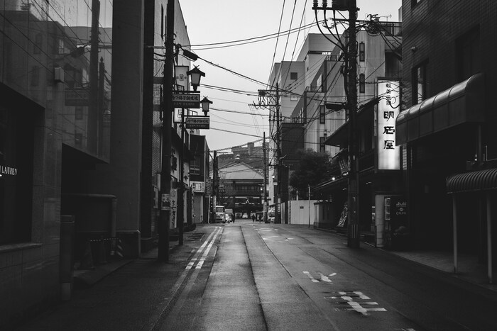 大阪の裕福な家庭、蒔岡家の三女の雪子は、多くの縁談話があるもののなかなか結婚できない美人女性。姉2人は婿を迎え、妹は未婚。あるとき、新聞に蒔岡家の恥となるような恋愛話が載ってしまい、雪子はますます行き遅れ、妹の妙子は人形作りに勤しむように。4人姉妹の会話が美しい船場言葉で描かれながら、ゆるやかに季節が過ぎていく少し切ない物語です。
