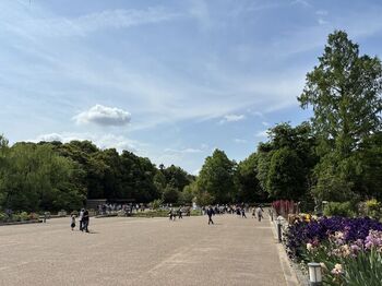 北山エリアには、忘れてはいけない京都の穴場スポットがあります。それが北山のオアシスともなっている『京都府植物園』。鴨川沿いにあり、春にはお花見、そして秋には紅葉スポットとして県外からも沢山のツアー客も訪れる観光スポットなのです。