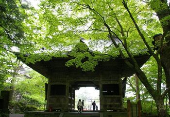 群馬県高崎市にあり、創建は586年までさかのぼることができる由緒正しい神社です。武田信玄が戦に勝つため、矢を射る矢立神事を行った樹齢およそ600年の「矢立杉(やたてすぎ)」は、国の天然記念物に指定されています。
