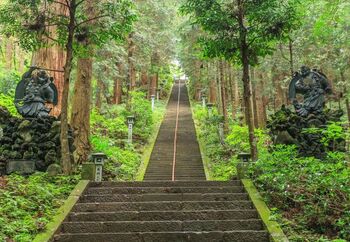 まっすぐ伸びた階段がある「最乗寺(さいじょうじ)」。紅葉の名所として知られていますが、青葉が茂る季節も味があります。