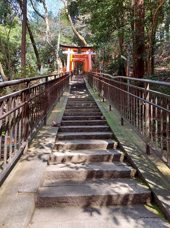 参道には、千本鳥居の他にもたくさんの鳥居があり、登っていくうちに、あたりはどこか異次元のような雰囲気につつまれます。お山めぐりはだいたい3時間~3時間半ほど。登りに疲れたら、時には茶店で一休みしてくださいね。