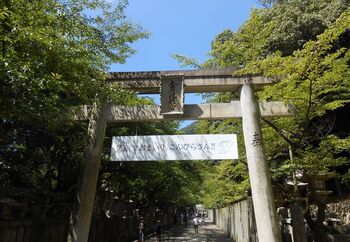 本宮より先、奥社へと続く階段が待ち構えます。さぁ、ここからが勝負! ヒップアップ効果もありそうな、石の階段。長く急ですが、ゆっくり自分のペースで登っていけば、きっと登頂できるはず。
途中、「常磐神社」や「白峰神社」などいくつかの神社が。そのたびに、「やっと着いた?」と喜びますが、階段はその先にも続きます。