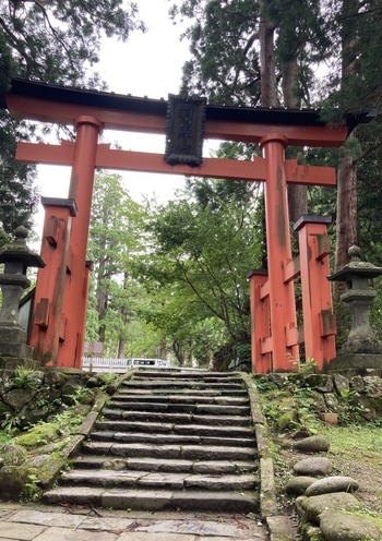 多くの人の足の運びで、なめらかになった石の表面。一体どれほどの人が、この上を進んだのでしょうか。
山頂へは車で行くことも可能ですが、一段一段踏みしめながらのぼる苦しさも修業のうち。パワースポットである、羽黒山の持つエネルギーを感じながらのぼってみて。