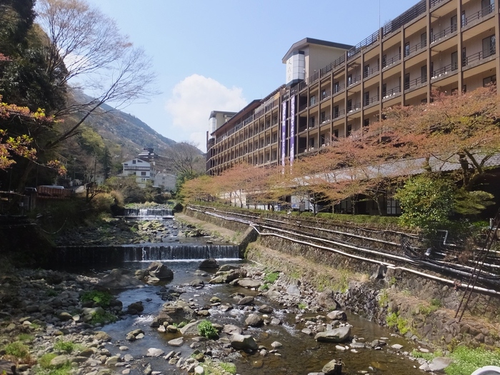 新宿から小田急電鉄・特急ロマンスカーに乗って直通85分。全国的にも有名な温泉地・箱根の「天成園」は、充実した設備が自慢の温泉宿です。