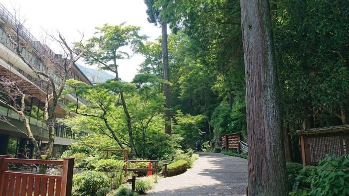天成園の名物は、屋上に設置された「天空露天風呂」。開放感あふれる露天風呂からは、四季折々に色合いを変える箱根の景色を見渡す事が出来ます。天成園の温泉は、弱アルカリ性。泉質はとてもまろやかで、疲れた肌を優しく労わってくれます。

お食事処はもちろん、リラクサロンや本格的エステが受けられるサロンも併設されているので、極上のリラックスタイムが過ごせます。