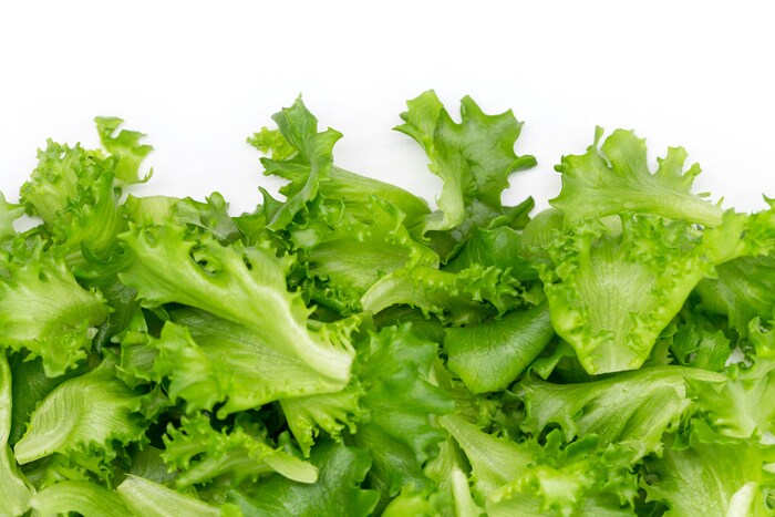 もう野菜を無駄にしない！正しい保存方法と賞味期限まとめ
