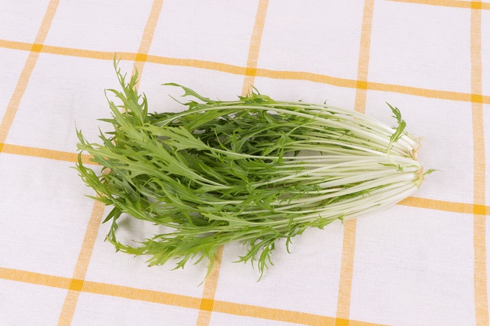 もう野菜を無駄にしない！正しい保存方法と賞味期限まとめ