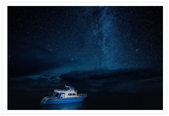 国内初の「星空保護区®」に認定された西表島の海上へ、貸切りクルーズで出発。ゆったりとしたソファやオープンエアのデッキで寛ぎながら、茜色に染まる夕景から、水平線まで広がる天の川が輝く夜へと移ろいゆく空の美しさを、心地よい潮風と波の音に包まれながら堪能できます。