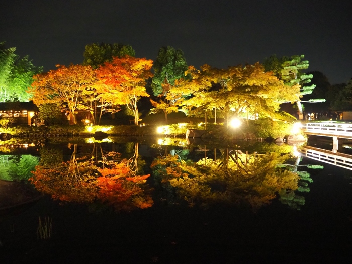 気持ち良い気候のこの季節だから。「夜散歩」が楽しい都内のスポット巡り