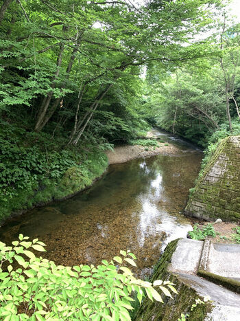 「岩手の名湯」20選。わざわざ行きたい絶景露天から秘湯までご案内♪