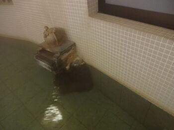 岩手県で一番長い歴史のある台温泉は、南部藩のお殿様も利用していました。風情のある露天風呂で豊富な湯量の100％かけ流しの天然温泉につかっていると感慨深い気持ちになりますね。