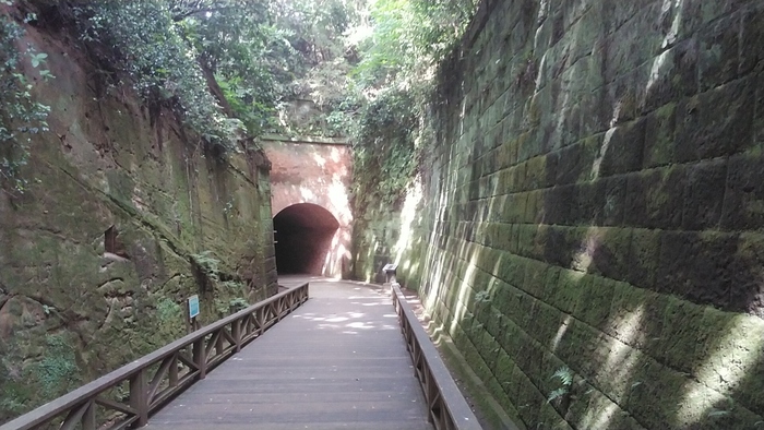 桟橋から島内に続く階段をのぼっていくと、木々の生い茂る道へ。真夏でもひんやりとしていて、時間が止まったような感覚になります。猿島は、かつて東京湾の防衛拠点で、幕末に作られた砲台の跡が今も残っています。歴史を感じながらゆっくりと歩いてみませんか？