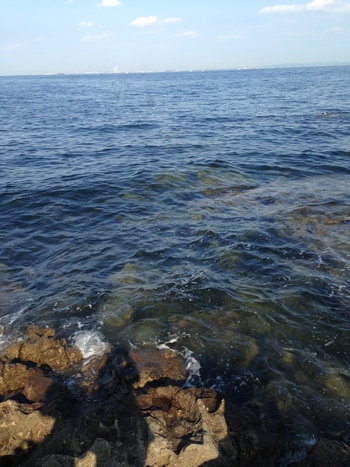 猿島は釣りができるスポットとしても知られています。クロダイやカレイなどは島内どこのスポットでも釣れるので、ぜひチャレンジしてみては？