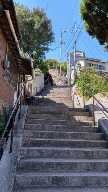 尾道水道沿いに続く狭い市街地から坂道が幾つも伸びて、尾道全体の景観が作られています。街を歩くとふと、こんな素敵な坂道に出会えます。