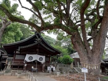 尾道の風情ある街並みは映画のロケ地としても人気で、日本を代表する映画監督たちから愛されています。とくに尾道出身の大林宣彦監督が尾道を舞台として撮った『転校生』『時をかける少女』『さびしんぼう』は、尾道三部作として多くの映画ファンから愛されています。