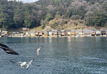 日本のヴェネツィア。海に浮かぶ町「伊根の舟屋」って知ってる？