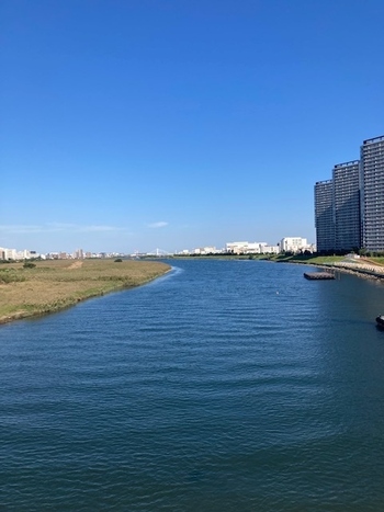 本当に住みたい町はどこ?ナチュラルさんにおすすめの街10選【自然が多い23区外編】