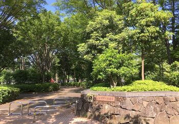 府中には府中の森公園、府中市郷土の森博物館など、公園がたくさんあります。さらに多摩川に面しているので、川沿いを散歩したり、川遊びも楽しめます。ファミリーはもちろん、レジャー好きな人にもおすすめな環境です。