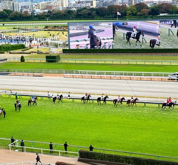 府中には東京競馬場や競艇場がありますが、治安が悪かったり騒がしいということはなく、競馬場には家族で訪れる人も多いのだそう。また、競馬場・競艇場以外に東芝の工場もあり、税収入が豊富なため街全体が整備されていて綺麗です。