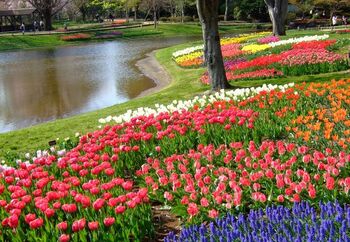 昭和記念公園では、季節に合わせて自然を楽しむことができます。とても広くてさまざまなエリアに分かれているので、何度訪れても飽きません。蚤の市やグルメフェスなど、さまざまなイベントも行われています。