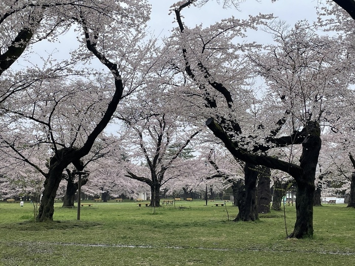 駅からバスで10分ほどの場所には、都立公園の中でも最大規模である「小金井公園」があり、身近に自然を感じられる環境でもあります。