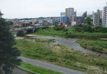 日野市の中央には浅川、北側には多摩川が流れています。また、百草園、多摩動物公園、市民の森スポーツ公園など、自然や公園がとても多いのも魅力。場所によっては坂が多い地域もあるのですが、車や電動自転車があればお出かけもしやすく、かなり便利なエリアに感じるでしょう。
