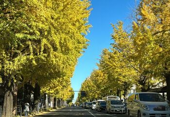 本当に住みたい町はどこ?ナチュラルさんにおすすめの街10選【自然が多い23区外編】