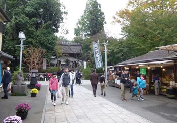 市民参加型のイベントも多く、多摩川で行われるいかだレース、市民まつり、花火大会なども開催されています。すぐ隣は世田谷区ですが、家賃が安いので住みやすく、街全体が落ち着いていて温かい雰囲気なのも魅力でしょう。