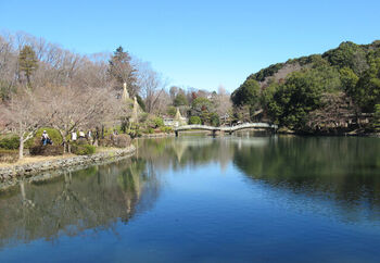 薬師池公園、芹ヶ谷公園、町田リス園など、自然を感じられる施設もたくさん。都心から距離は離れていますが、東京方面以外にも横浜・江ノ島・箱根などにアクセスしやすく、お出かけ好きな家族にはぴったりです。