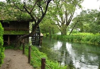 黒澤明監督「夢」のロケ地になった水車小屋も、映画そのままの姿でたたずんでいます。澄みきった雪解け水の清流も必見。