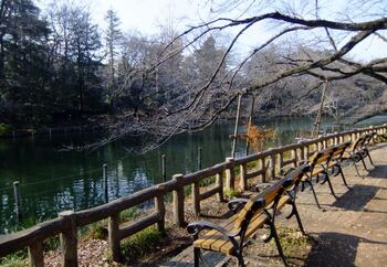 吉祥寺駅の南側には、2017年に100周年を迎えた井の頭恩賜公園があります。園内には小さな動物園や三鷹の森ジブリ美術館があり、井の頭池でボートに乗ったり、木立の中を歩いたり。自然の中で思い思いの時を過ごせる場所として人気です。お気に入りのパンやコーヒーと一緒に、ゆったり公園散歩なんていかがですか？