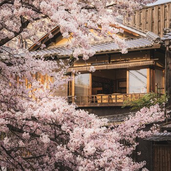 京のかなめ「京都御所」をのんびり散歩♪~周辺ランチ・カフェ・観光ガイド~