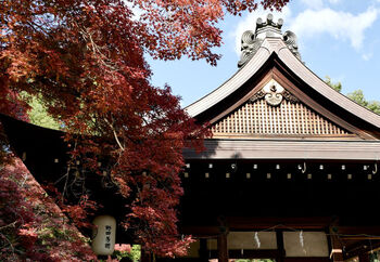 京のかなめ「京都御所」をのんびり散歩♪~周辺ランチ・カフェ・観光ガイド~