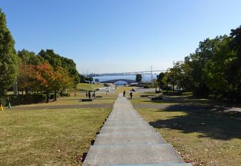 ゆるやかに起状する芝生が広がっており、小高い丘からは、海や横浜ベイブリッジ、港を行きかう船などを臨むことができる憩の空間♪