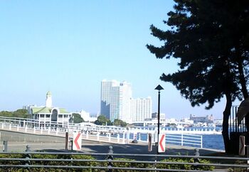 臨港パークと似た作りの緩やかな海岸線。赤レンガ倉庫まで続いており、お散歩やランニングにもおすすめのコースです。