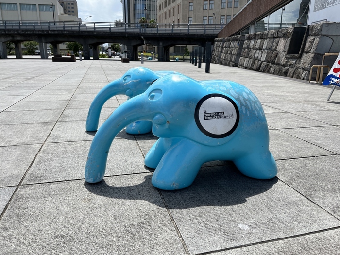 毎年6月2日の開港記念日を中心に、象の鼻テラス屋上に、アーティスト鈴木康広氏による巨大な「象の鼻」が出現!象の鼻がりんごを追いかける仕草が可愛らしく、出会いと発見を生む象の鼻テラスのシンボルは必見です。
