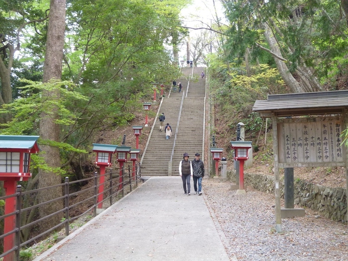 高尾山は、その美しさと日帰りでもゆっくり楽しめることから大人気の観光地。2007年には、富士山に並びミシュラン3つ星に指定された国定公園です。山登りをしたり、野草や野鳥を観察したり、山々に癒されたり、それぞれのスタイルで楽しめますよ。